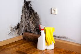 Mold Remediation for Vacation Homes in Cabin John, MD